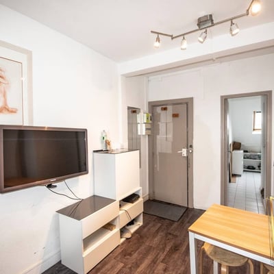 Furnished Studio Apartment for Long-Term Rent in Central Paris with Notre-Dame View